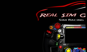 Real-sim-group.eu thumbnail