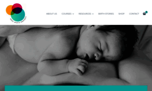 Realbirthproject.com thumbnail