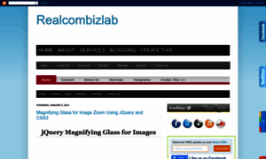 Realcombizlab.blogspot.in thumbnail