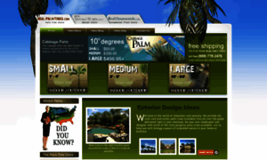 Realpalmtrees.com thumbnail