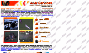 Realservices.com thumbnail
