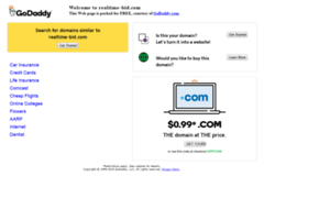 Realtime-bid.com thumbnail