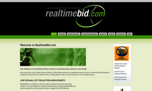 Realtimebid.com thumbnail