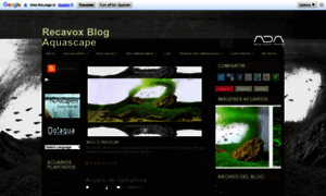 Recavox.blogspot.com thumbnail