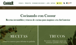 Recetas.coosur.com thumbnail