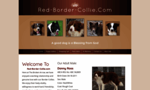 Red-border-collie.com thumbnail