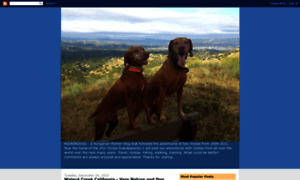 Redbirddog.blogspot.com thumbnail