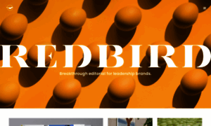Redbirdgroup.com thumbnail