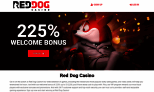 Reddog.casino thumbnail