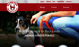 Reddogfarm.com thumbnail