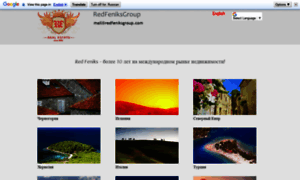 Redfeniksgroup.com thumbnail