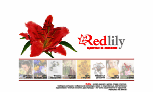 Redlily.ru thumbnail