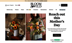 Refer.bloomandwild.com thumbnail