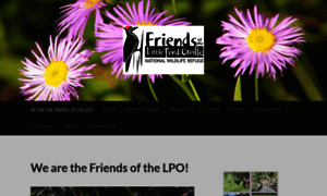 Refugefriends.com thumbnail