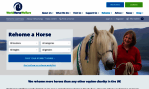 Rehoming.worldhorsewelfare.org thumbnail