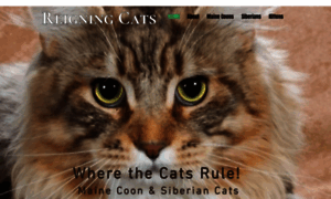 Reigningcats.com thumbnail