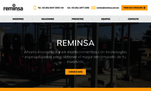 Reminsa.com.mx thumbnail