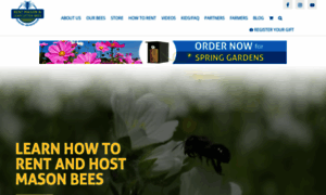 Rentmasonbees.com thumbnail