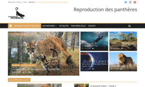 Reproduction-des-pantheres.com thumbnail