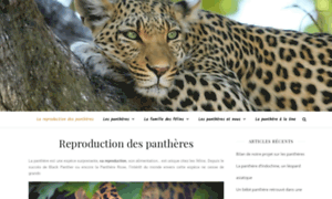 Reproductiondespantheres.fr thumbnail