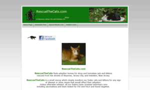 Rescuethecats.com thumbnail