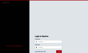 Resolve.netspi.com thumbnail