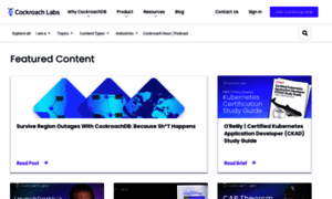 Resources.cockroachlabs.com thumbnail