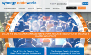 Resources.synergycode.com thumbnail