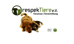 Respektiere.com thumbnail