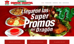 Restaurantedragonoriental.com thumbnail