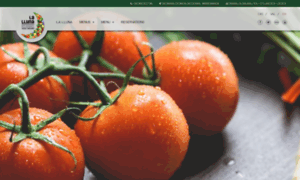 Restaurantelalluna.es thumbnail