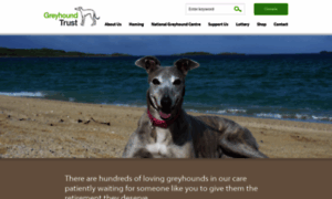 Retiredgreyhounds.co.uk thumbnail