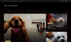 Rettungshundestaffel-malteser-siegen.de thumbnail