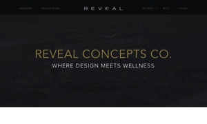 Revealconceptsco.com thumbnail