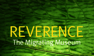 Reverence.org thumbnail