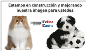 Revistavidafelina.com thumbnail