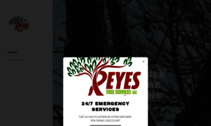 Reyestreeservice.org thumbnail