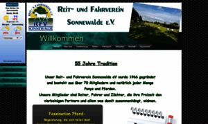 Rfv-sonnewalde.de thumbnail