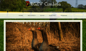Rgzv-cimbria.de thumbnail