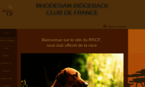 Rhodesianridgeback-clubdefrance.com thumbnail
