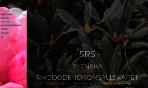 Rhododendron.se thumbnail