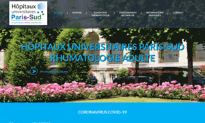 Rhumatologie-paris-sud.com thumbnail
