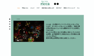 Ricca-hairsalon.com thumbnail