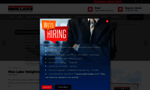 Ricelake.co.in thumbnail