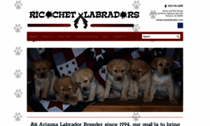 Ricochetlabradors.com thumbnail