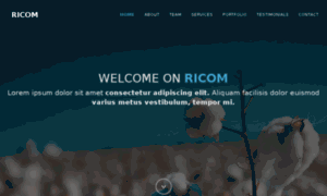 Ricom-tex.com thumbnail