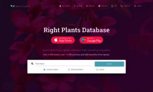 Rightplants4me.co.uk thumbnail