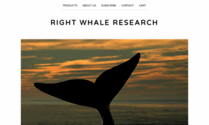Rightwhaleresearch.bigcartel.com thumbnail
