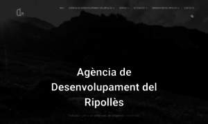 Ripollesdesenvolupament.com thumbnail