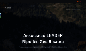 Ripollesgesbisaura.org thumbnail